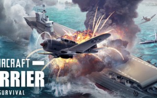 航母生存/Aircraft Carrier Survival