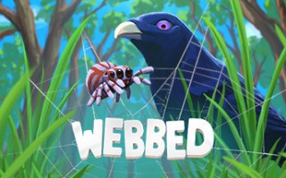 勇网直前/Webbed