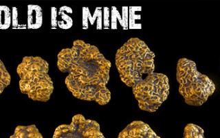 金子是我的/GOLD IS MINE