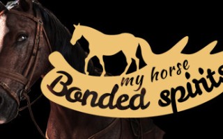 我的马：灵魂契约/My Horse: Bonded Spirits