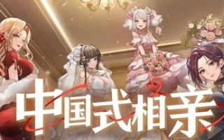 中国式相亲/Matchmaking Inc.